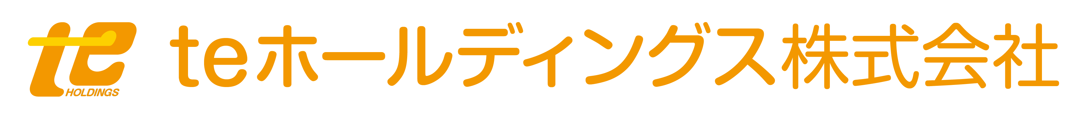 teホールディングス株式会社